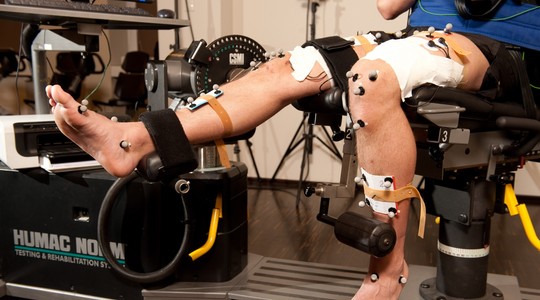 Fizjoterapia w chorobach i obrażeniach narządu ruchu.